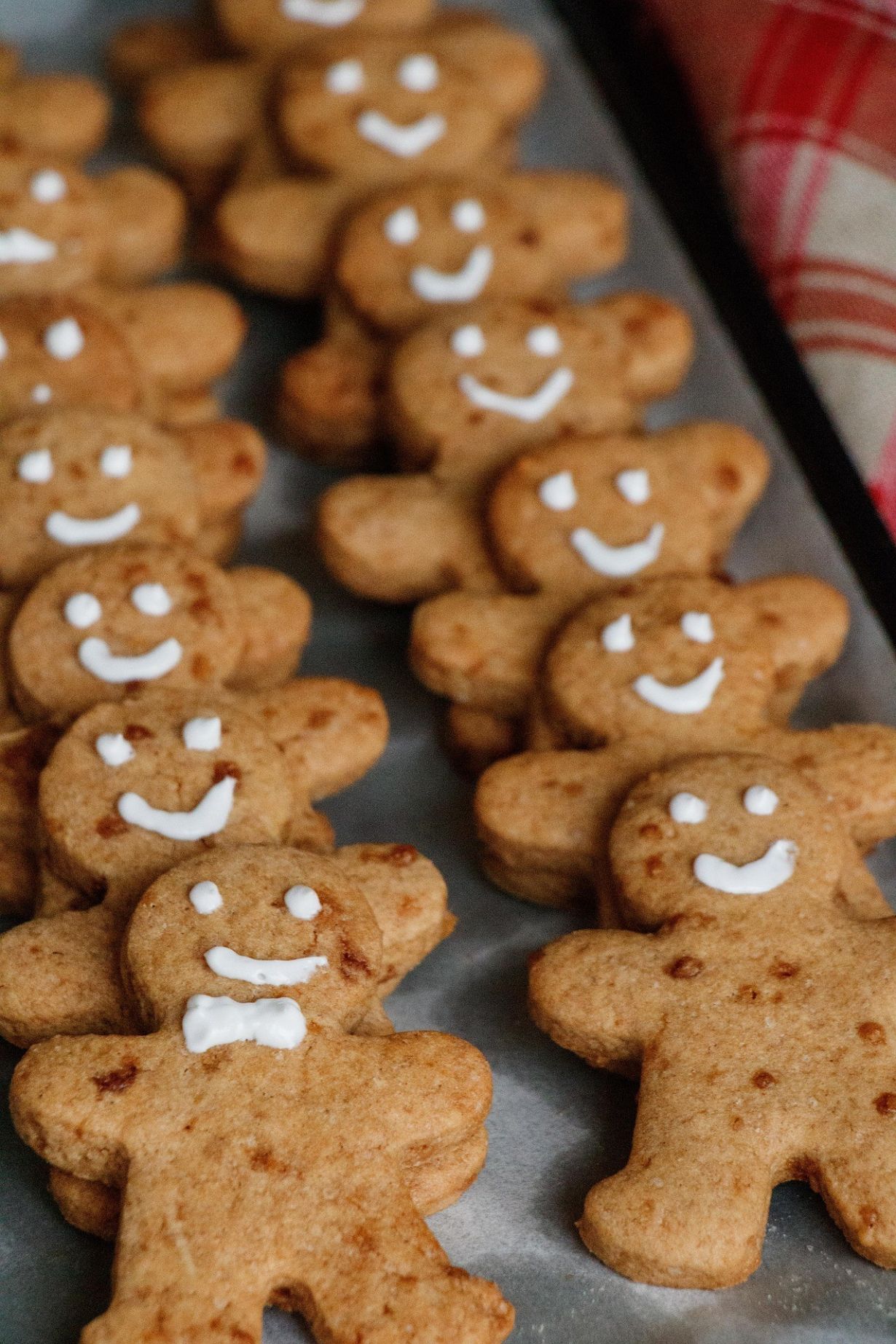 Theaterstücke Camperfründe von Marcel Schlegel